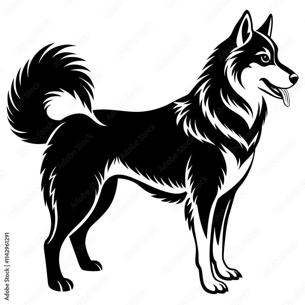 Obraz premium black and white horse
