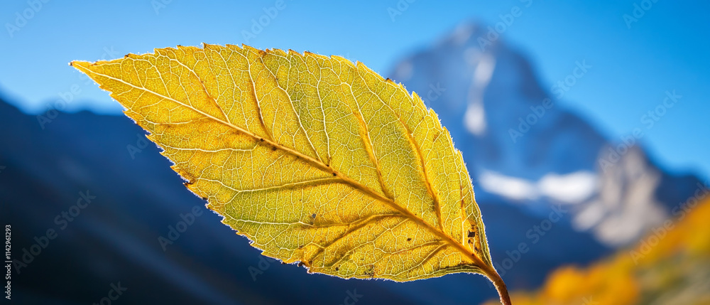 Obraz premium High-Altitude Leaf: Vibrant Autumn Hues, Intricate Veins, Mountain Background