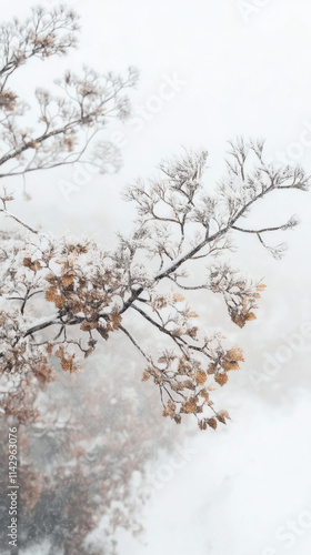 Dreamy Winter Wonderland Snowfall Magical Peaceful High Angle