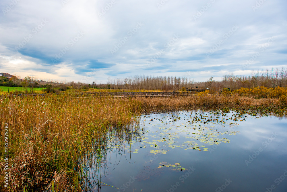 Acarlar Floodplain Forest (Turkish: Acarlar Longozu) is a floodplain forest located in Karasu. Sakarya, Turkey.