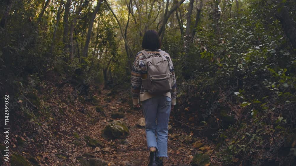 woman in a sweater and a backpack on her back travels. on a hike in the mountains. Adventure and hike. Young happy tourist woman relaxing in nature woman in a sweater and a backpack on her back travels. on a hike in the mountains. Adventure and hike. Young happy tourist woman relaxing in nature
