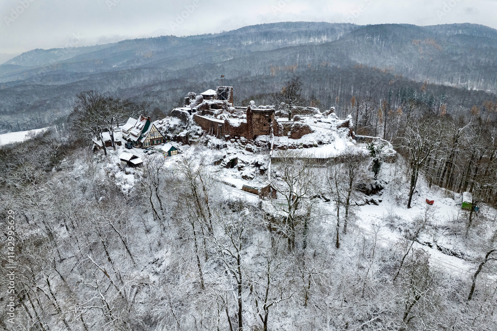 Aerial view ruins of old castle. Winter. Ruin of Hohnstein Castle, Harz mountains, Germany.