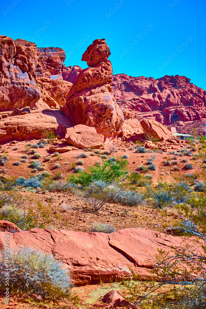 Naklejka premium Majestic Red Rock Formation in Valley of Fire Eye Level Perspective