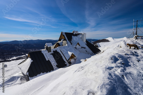 Fototapeta Naklejka Na Ścianę i Meble -  Połonina Wetlińska - Bieszczady Mountains