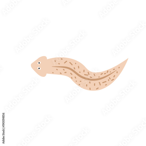 Planarian flatworm isolated vector illustration.