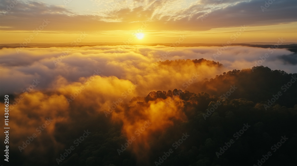 Obraz premium ドローンで捉えた雲海と森林の朝焼け