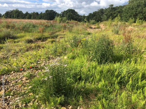 Scrub land and soil erosion following winter flooding from the River Ure in North Yorkshire, England, United Kingdom