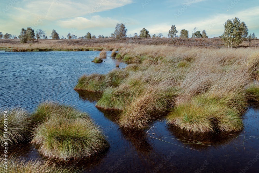 Beautiful natural moorland landscape in the High Fens