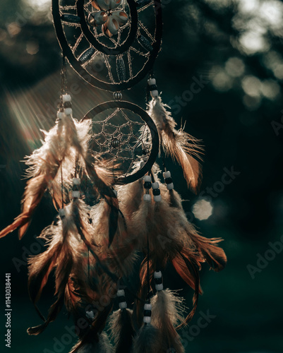 Dreamcatcher, american native spiritual bohemian mascot photo