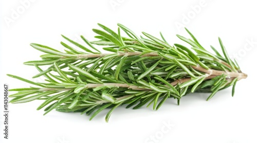 A bunch of fresh rosemary on a white background