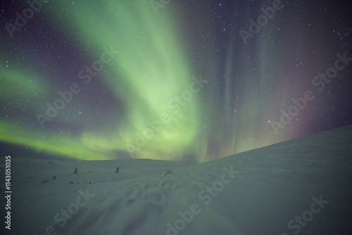 Northern lights in Pallas Yllastunturi National Park, Lapland, Finland photo