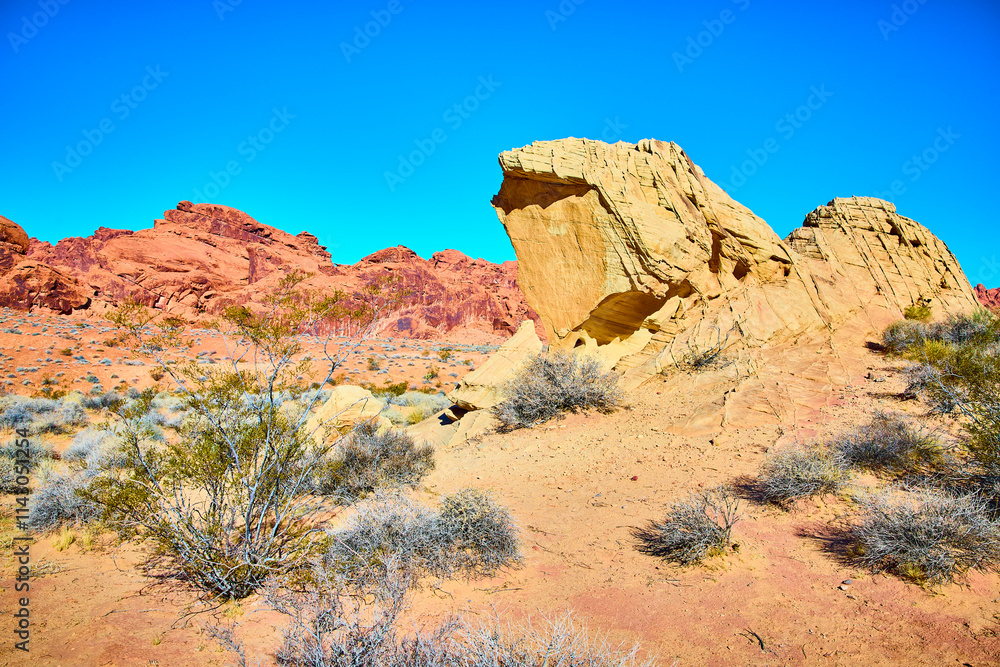 Fototapeta premium Red Sandstone Formations in Desert Against Blue Sky at Eye Level