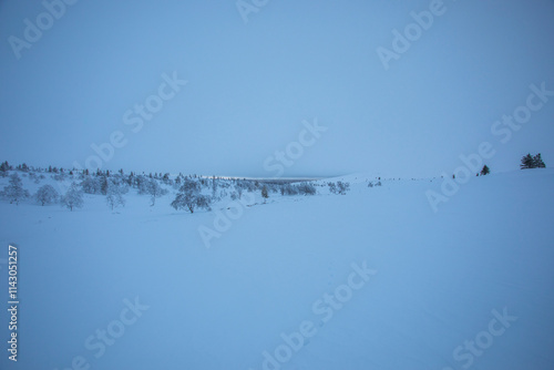 Winter landscape in Pallas Yllastunturi National Park, Lapland, Finland photo