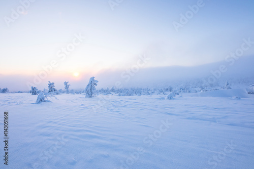 Winter landscape in Pallas Yllastunturi National Park, Lapland, Finland photo