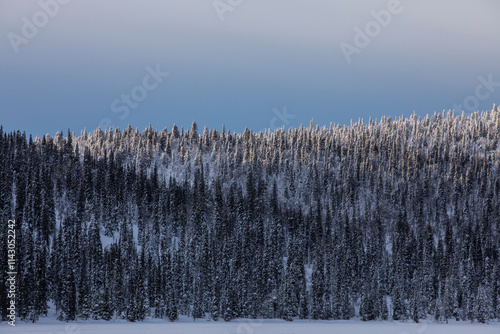 Winter landscape in Pallas Yllastunturi National Park, Lapland, Finland photo