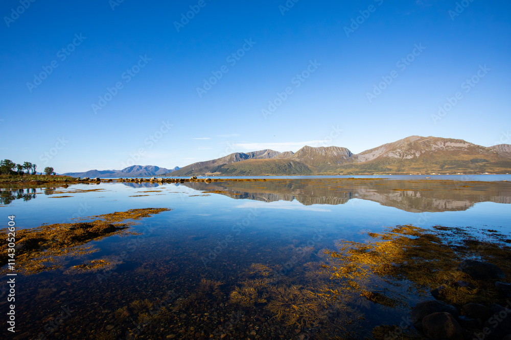 Obraz premium Autumn landscape in Lofoten Islands, Northern Norway, featuring colorful foliage, and a peaceful fjord.