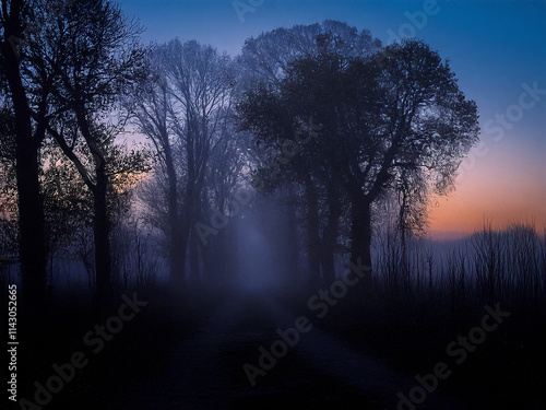 Düstere Nachtstimmung mit Nebel und orangefarbenen, dunkelblauen Himmel mit Bäumen im Vordergrund und einem einsamen Weg photo