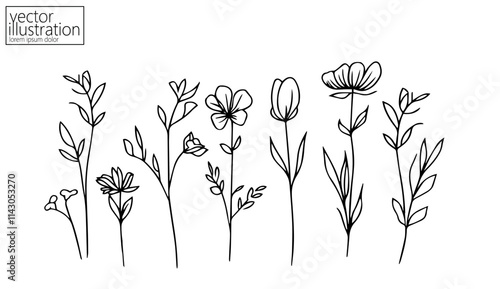 One line floral set element. Black and white monochrome continuous single line art. Floral nature Woman day gift romantic date illustration sketch outline drawing