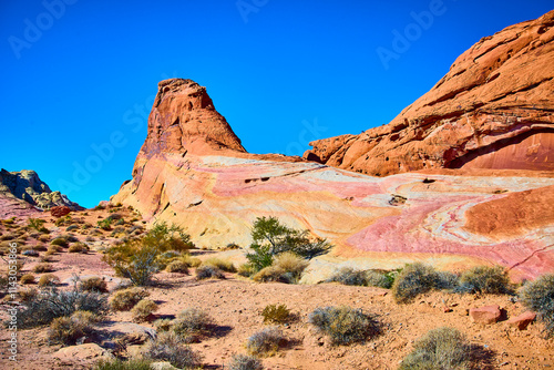 Red Sandstone Formations and Desert Shrubs Low Angle in Valley of Fire photo