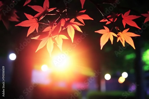 Bright streetlight illuminates autumn leaves in vibrant reds and oranges, casting a warm glow on the surrounding darkness, highlighting nature's beauty. photo