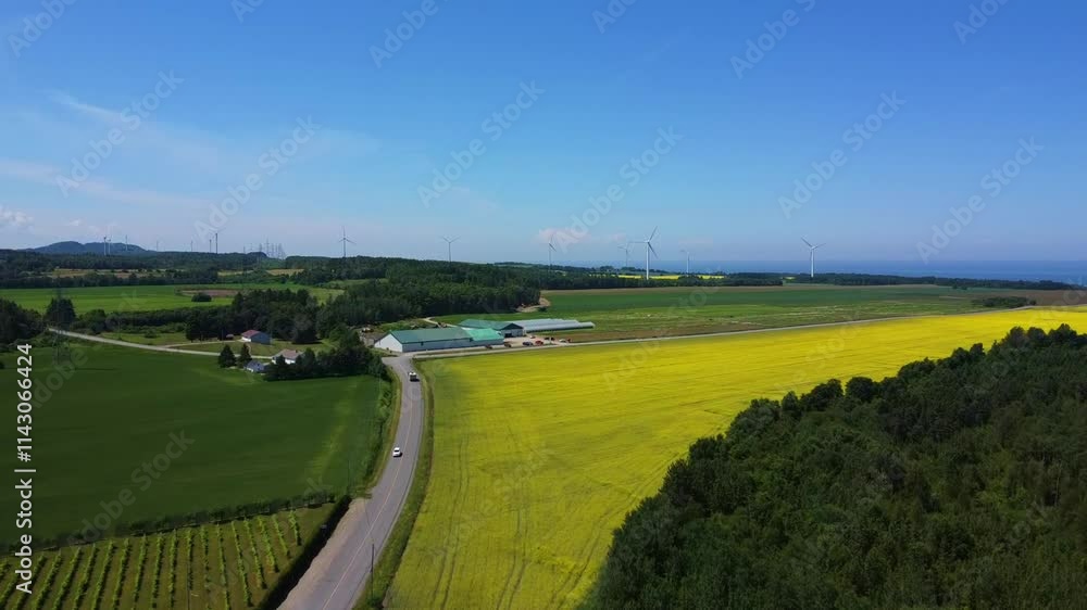 An aerial view of an agricultural area of yellow canola fields, green farmland and distant wind turbines under a clear blue sky, symbolizing sustainable energy and harmonious rural life. An aerial view of an agricultural area of yellow canola fields, green farmland and distant wind turbines under a clear blue sky, symbolizing sustainable energy and harmonious rural life.