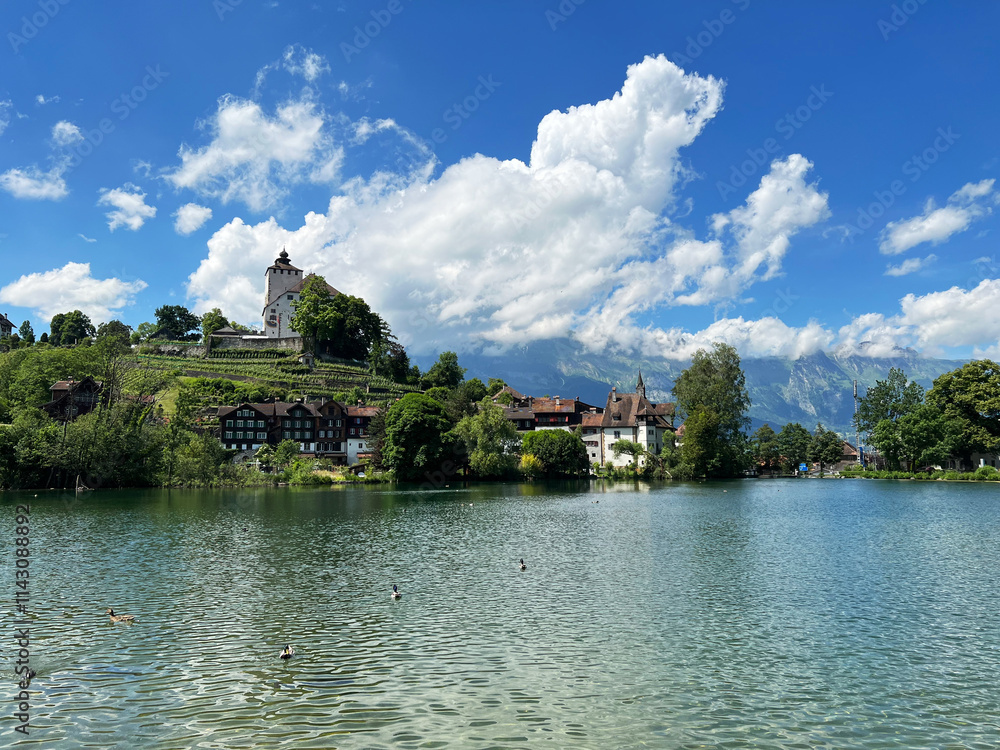 Werdenberger See with castle in Buchs Sant Gallen Switzerland