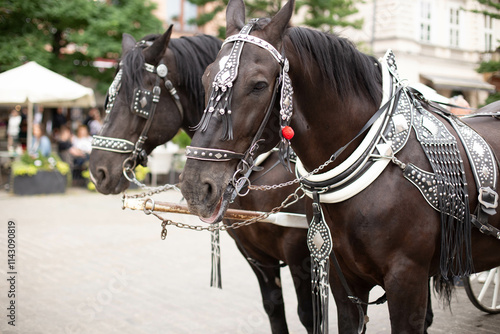 Horse carriages at main square in Krakow in a summer day, Poland photo