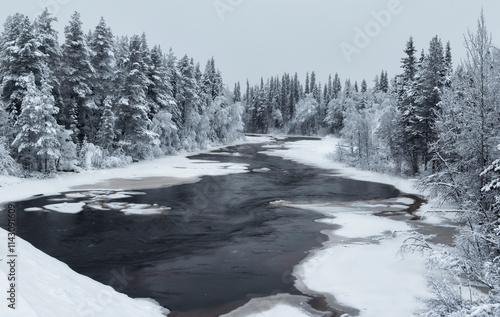 A northern turbulent river surrounded by snow-covered coniferous trees on the first winter day