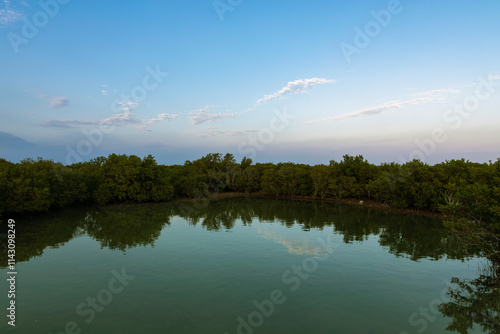 Purple Island in Qatar and also  called Jazirat bin Ghanim , alkhor on the northeast coast of QATAR