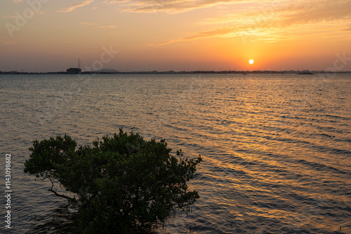 Purple Island in Qatar and also  called Jazirat bin Ghanim , alkhor on the northeast coast of QATAR