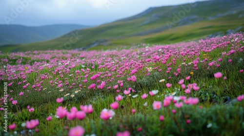 Intricate pattern of blooming flowers on gentle hillside