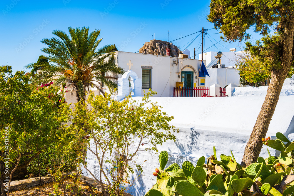 House garden with tropical flowers and plants in Chora village, Amorgos island, Cyclades, Greece