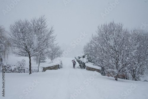 File Image: Image depicting Marlay Park in Dublin, Ireland during the Christmas holidays in December 2010 during a period of heavy snow. photo