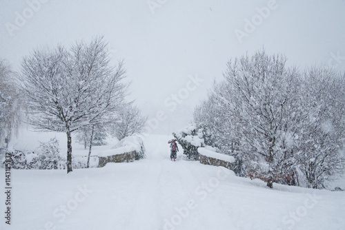File Image: Image depicting a robin in Marlay Park in Dublin, Ireland during the Christmas holidays in December 2010 during a period of heavy snow.
