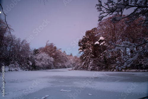 File Image: Image depicting a robin in Marlay Park in Dublin, Ireland during the Christmas holidays in December 2010 during a period of heavy snow. photo