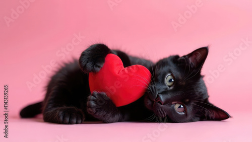 An adorable black kitten is lying on its side on a pink background holding a red heart. Concept of Valentine's Day with a pet.