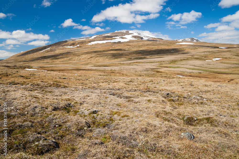 wild landscape in iceland on a sunny day wild landscape in iceland on a sunny day