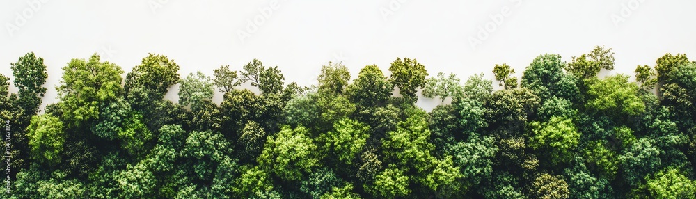 Lush green trees line the horizon against a soft, clear sky. Lush green trees line the horizon against a soft, clear sky.