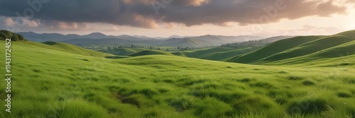 rolling hills covered with a thick layer of green grass, green fields, panoramic view