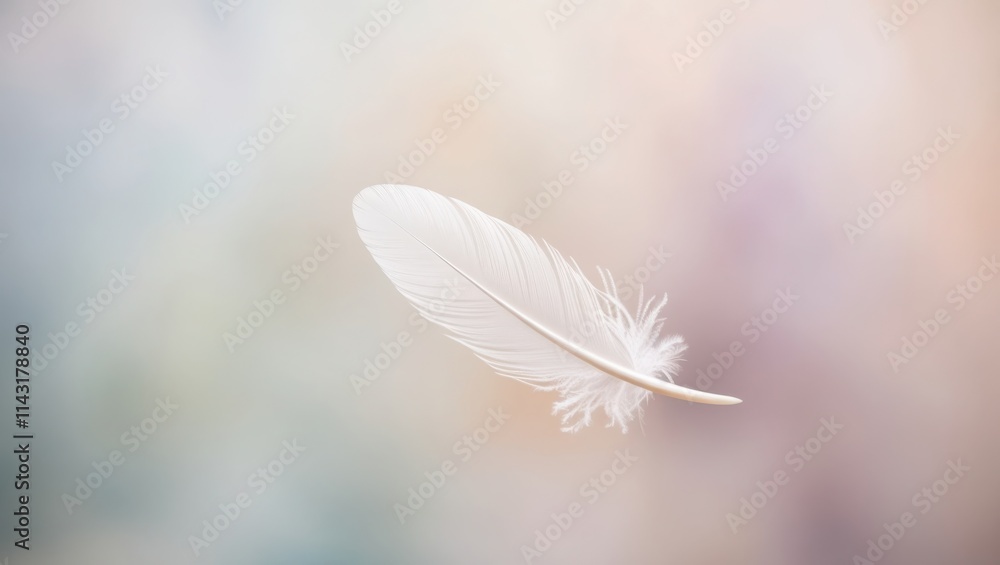 Naklejka premium Single White Feather Floating Against Soft Background