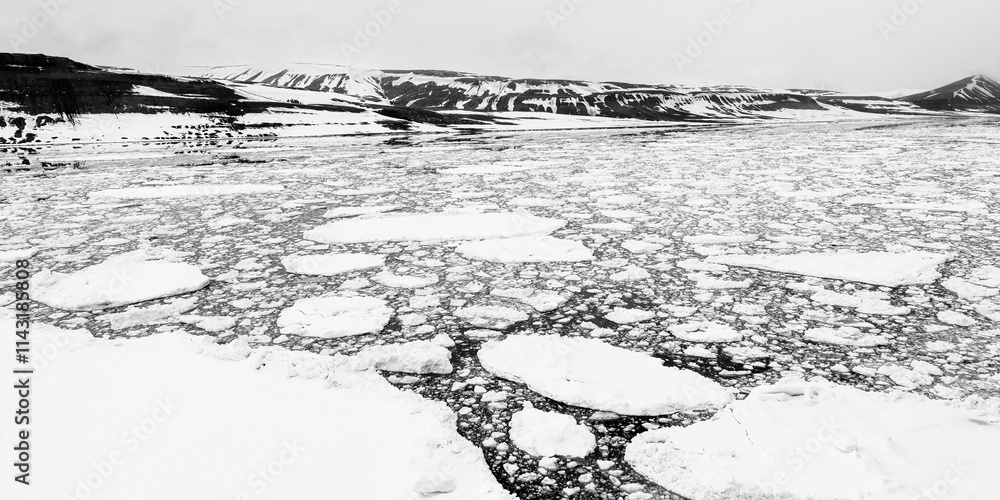 Obraz premium Explore the Beauty of Polar Ice: Against the Floe