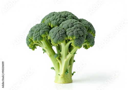 broccoli on a white background