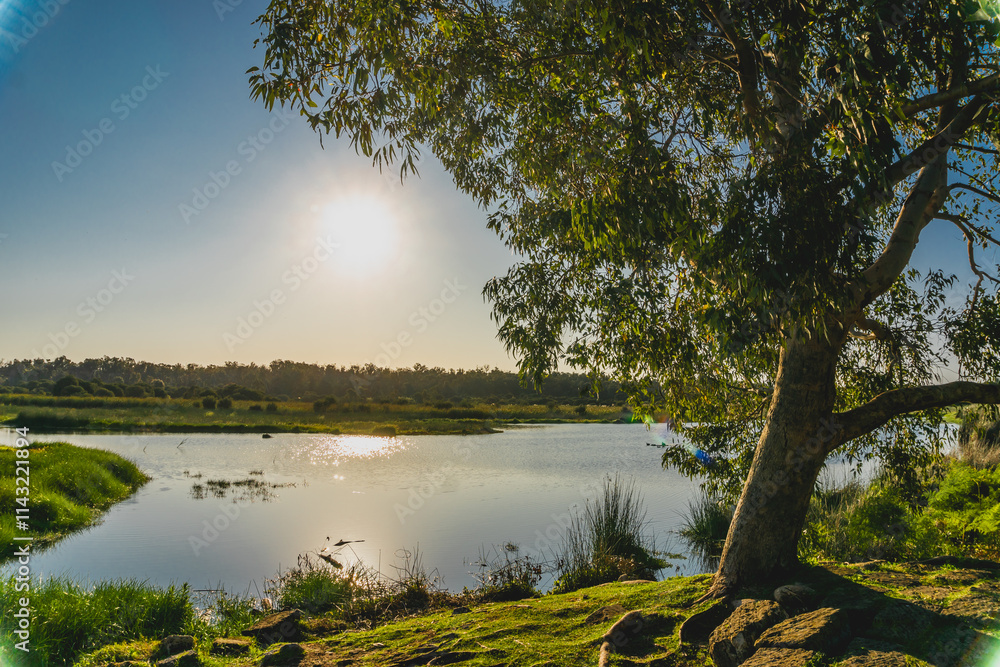 Obraz premium sunset view on a lake in western australia