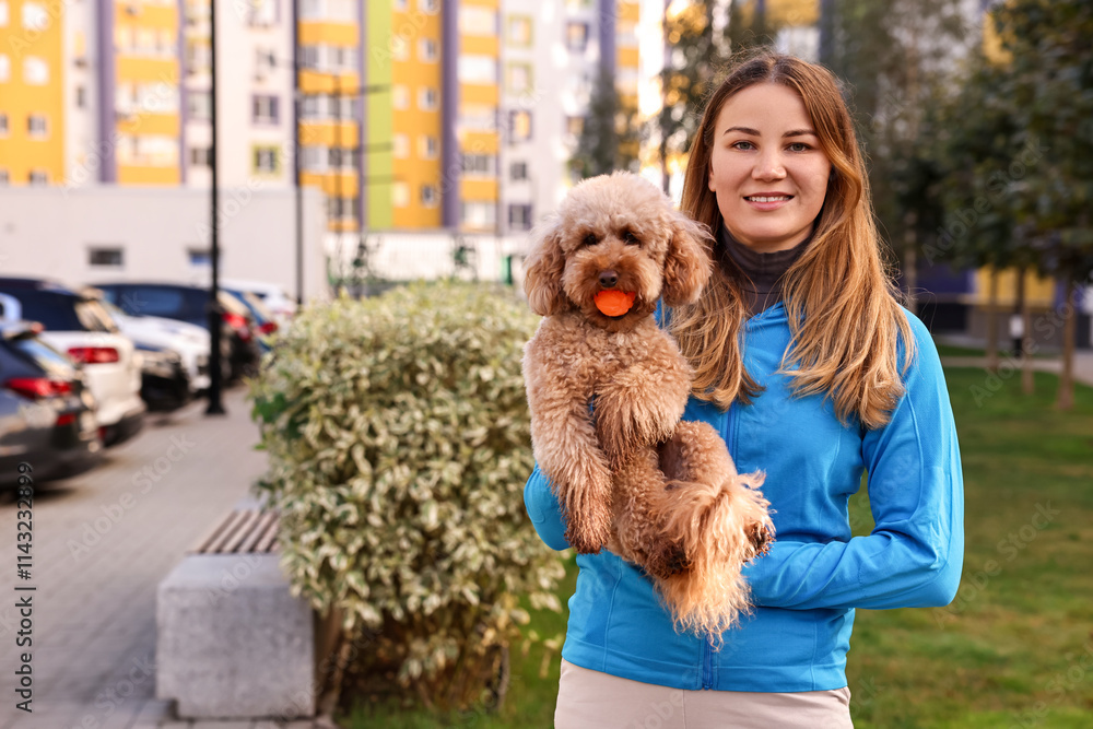 Woman and cute Toy Poodle dog with ball outdoors Woman and cute Toy Poodle dog with ball outdoors