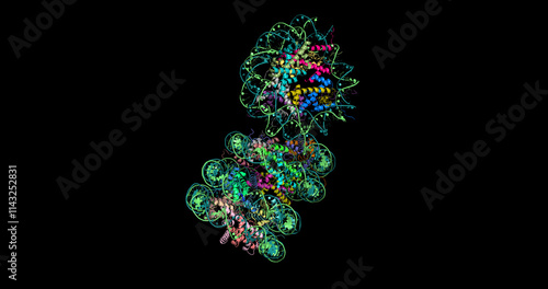 Human telomere, cancer and aging molecule, tetranucleosome 3D structure, 4K