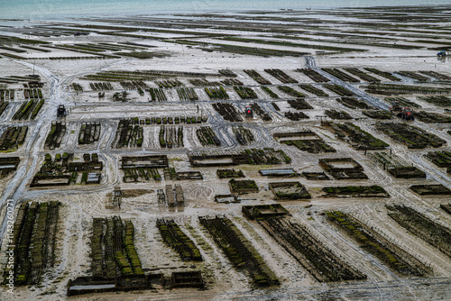 Oyster Farm at Cancale in Brittany, France at Low Tide photo