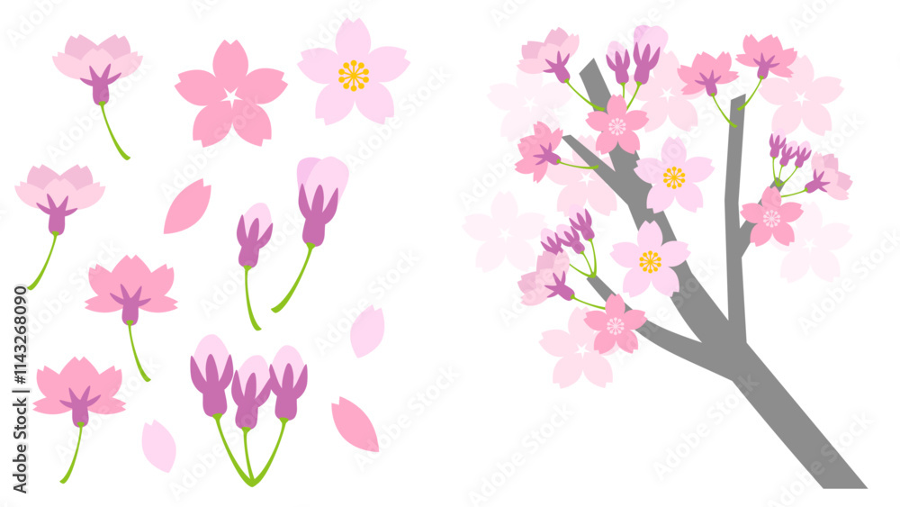 Naklejka premium シンプルな桜の花のイラスト素材セット