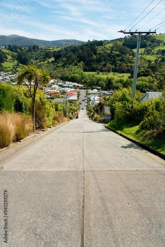 Fotografie Baldwin Street, The World's Steepest Street in Dunedin, Otago, South Island, New