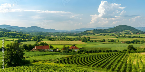 A scenic landscape featuring rolling hills, vineyards, and a quaint farmhouse under a blue sky.