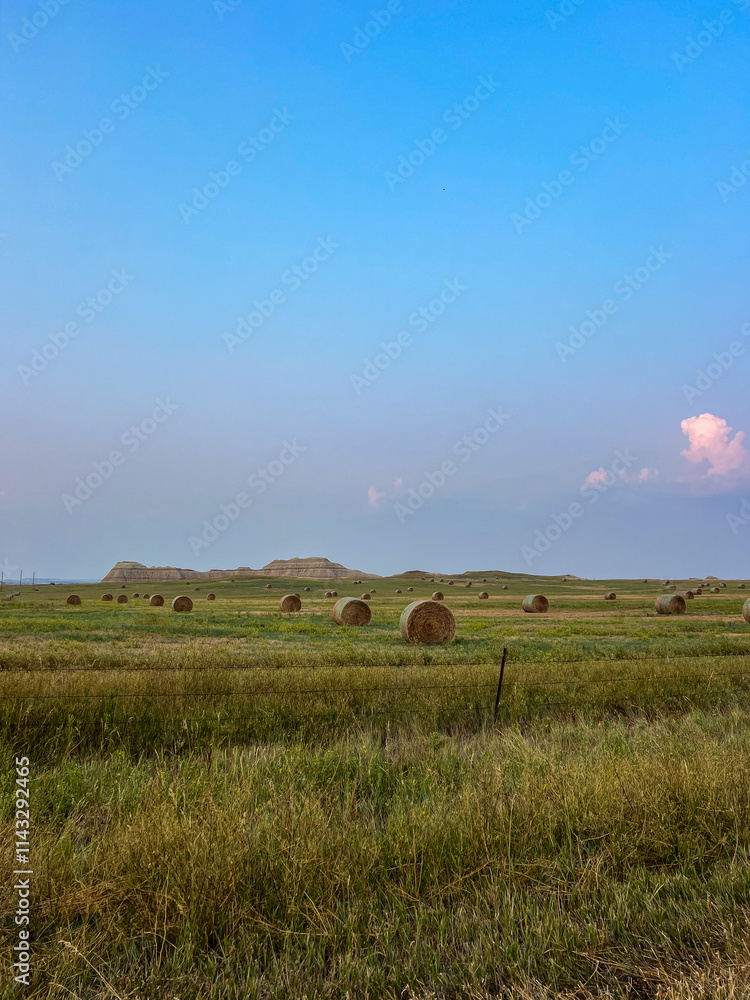 Obraz premium landscape with field and sky